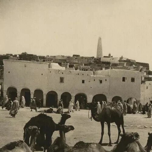 R.PROUHO - Gardaiah, Mzab Market, Algeria Vintage Photographs c. 1910 - 3