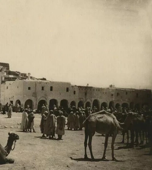 R.PROUHO - Gardaiah, Mzab Market, Algeria Vintage Photographs c. 1910 - 6
