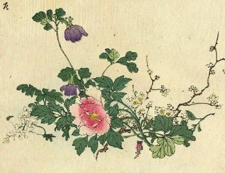 Flowers c 1890 Ukiyo-e Asian Art Print Antique Old Japanese WoodPrint Original: Japanese WoodPrint of Flowers circa 1890 Description: 23 x 13 cm stains, folds Reserve: $40.00 Shipping: Domestic: Flat-rate of $19.00 to anywhere within the contiguous U.S. International: F