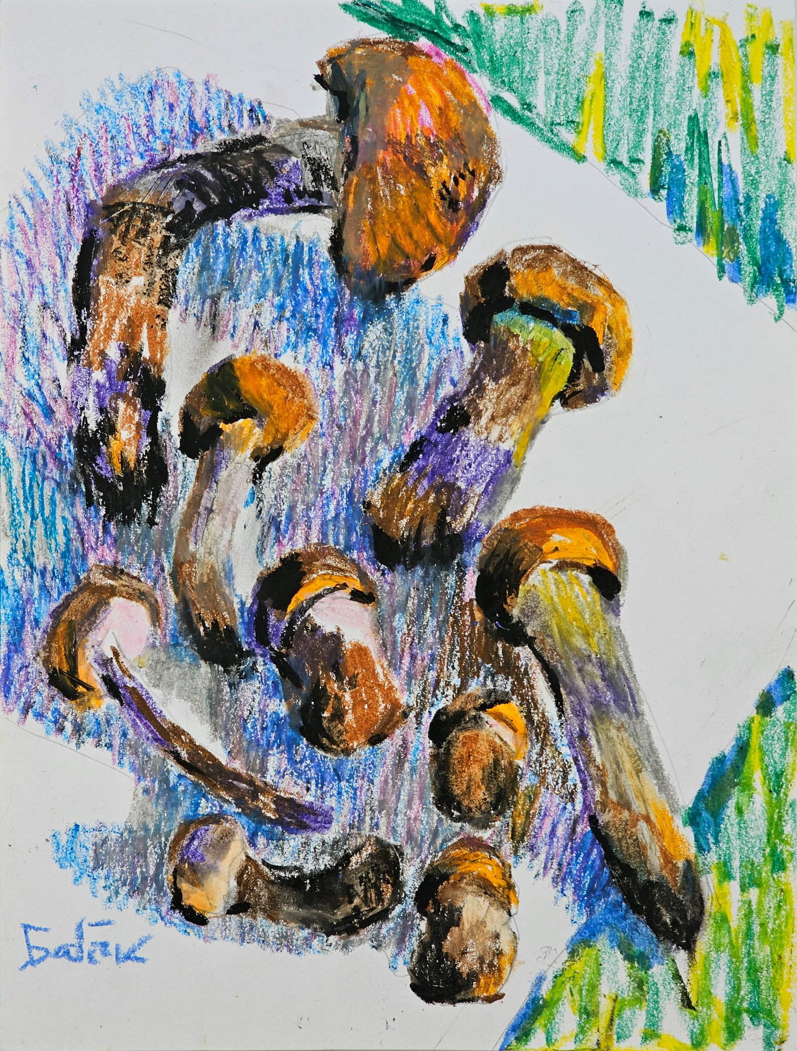 Acrylic painting mushrooms Leccinum aurantiacum Vyacheslav Petrovich Babac: Title: Acrylic painting mushrooms Leccinum aurantiacum Vyacheslav Petrovich Babac Description: 237BA Painter: Vyacheslav Petrovick Babac S?ze: 29x22 cm/ 11.41x8.66 inches Component: Pastel, cardboard 