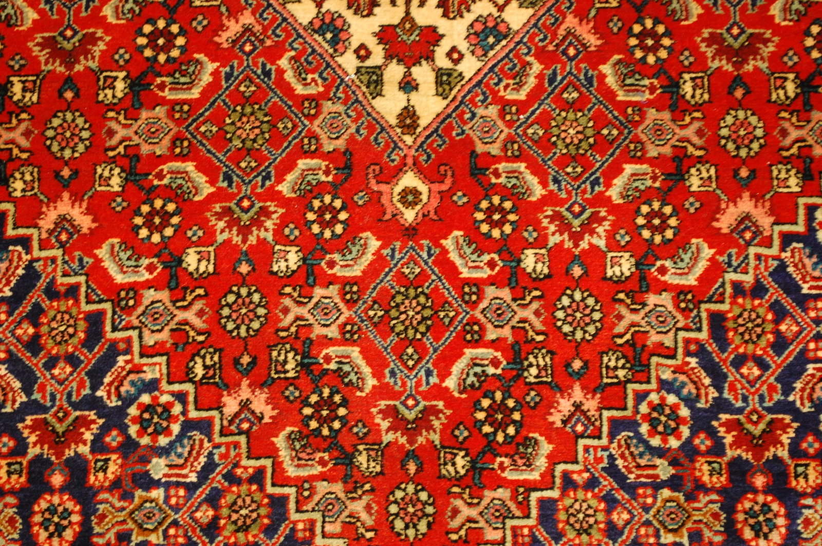 Persain BIJAR RUG 4.1x5.2 - 9