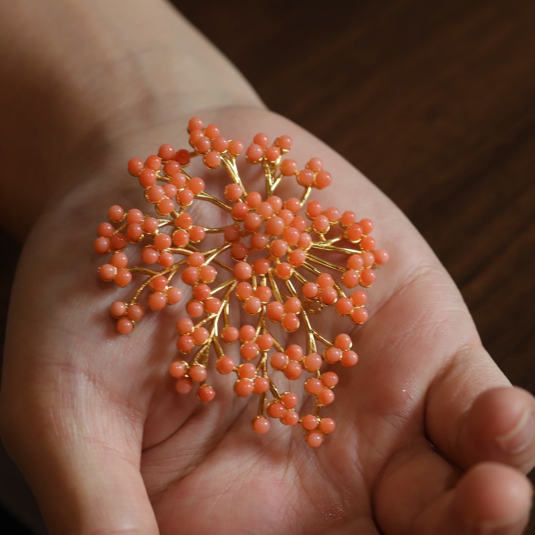 Natural Red Coral Brooch - 2
