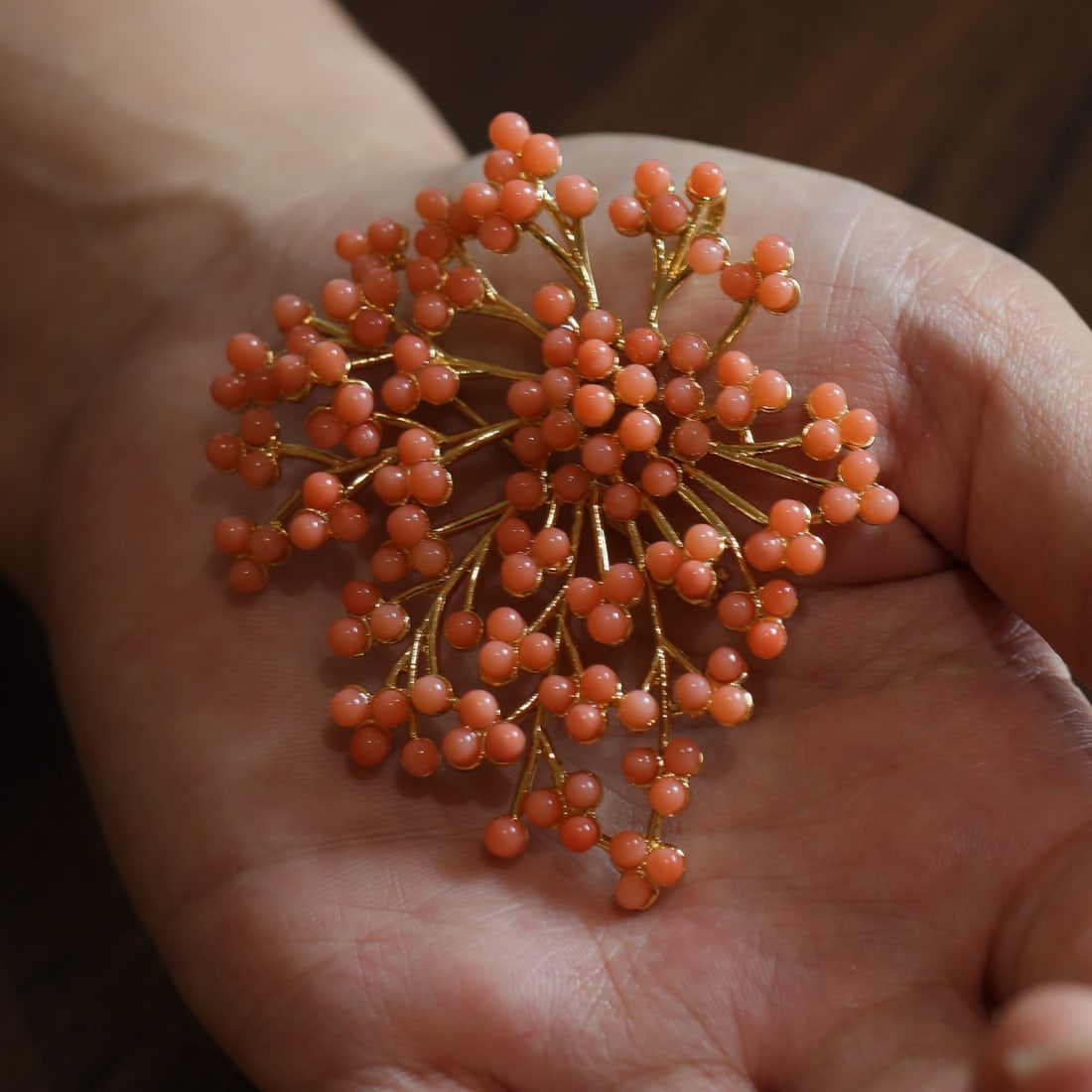 Natural Red Coral Brooch - 4