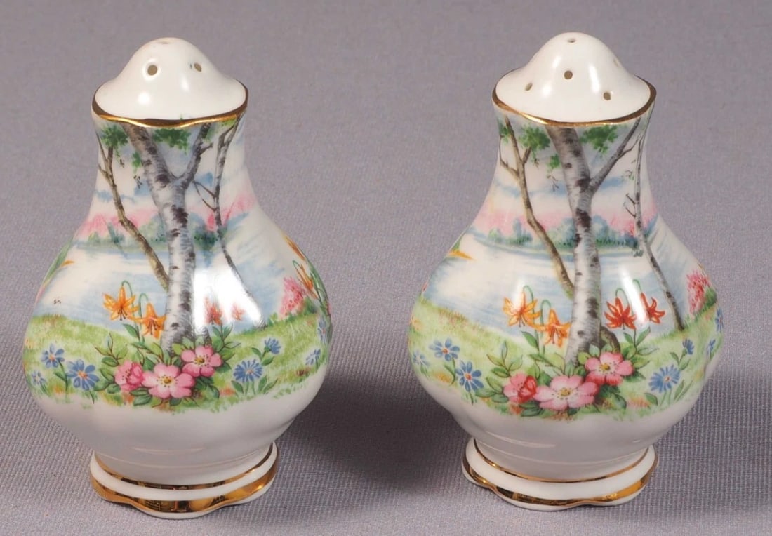 Royal Albert Silver Birch Salt and Pepper Shakers Vintage England (1 of 3)