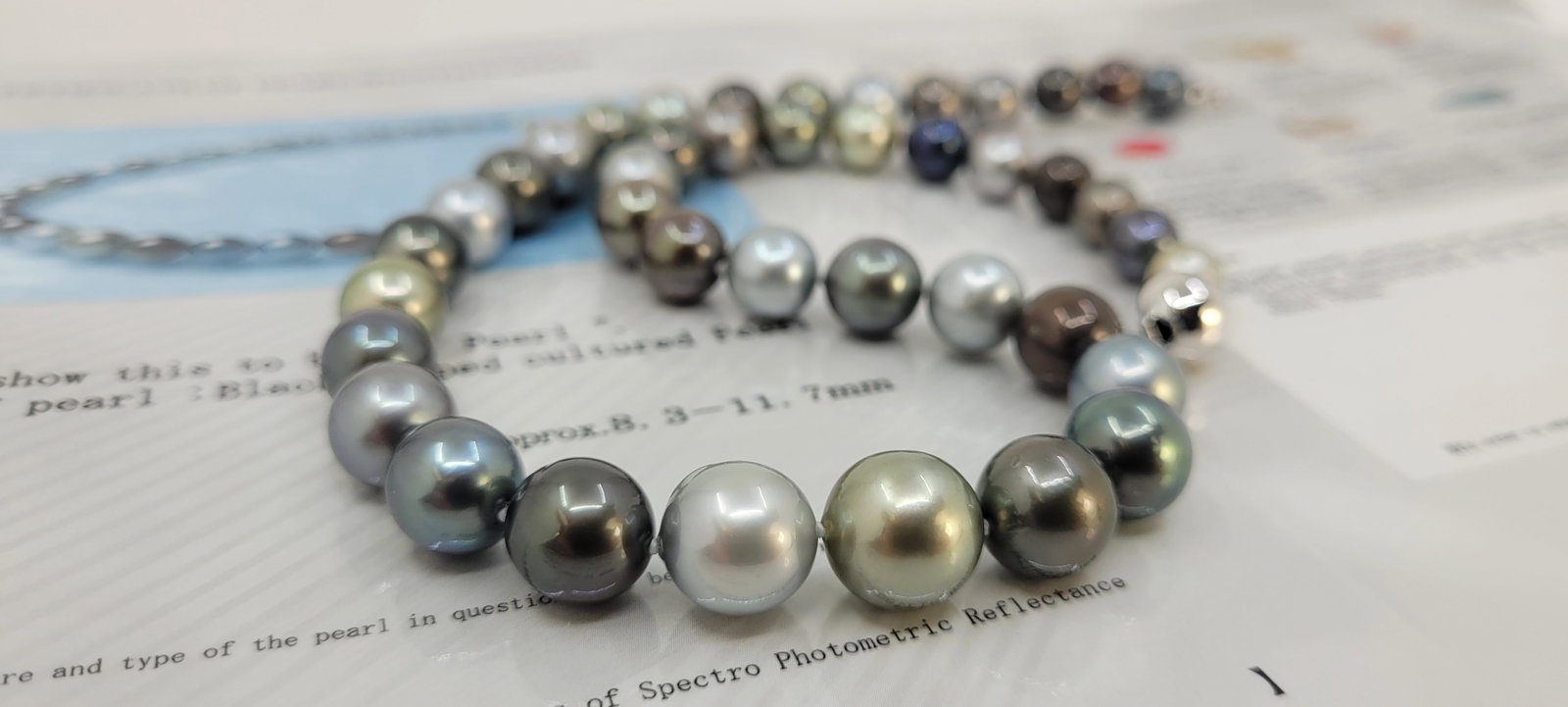 Necklace PSL Certified Tahitian Pearls - 8.3x11.7mm - 11