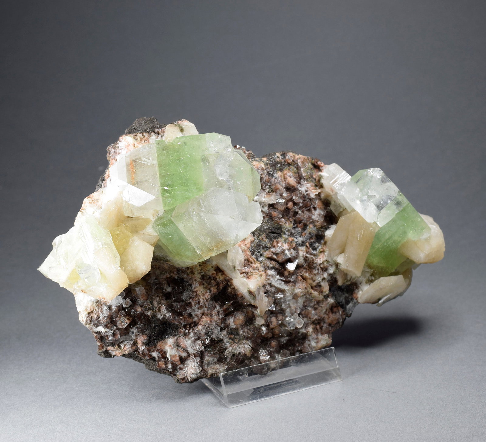 Crystals of Apophyllite, calcite and heulandite on trap matrix - 2