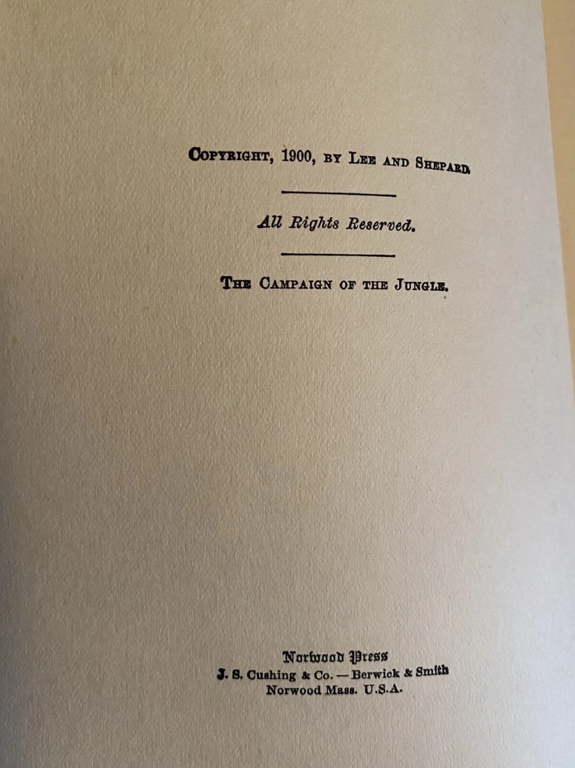 The Campaign Of The Jungle Edw. Stratemeyer Lothrop, Lee,Shepard Boston HC Rare! - 6