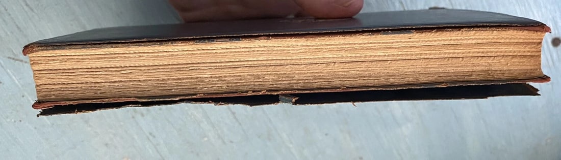 Antique Book Balthasar by Anatole France Blue Leather 1924 Dodd Mead & Co. RARE - 10