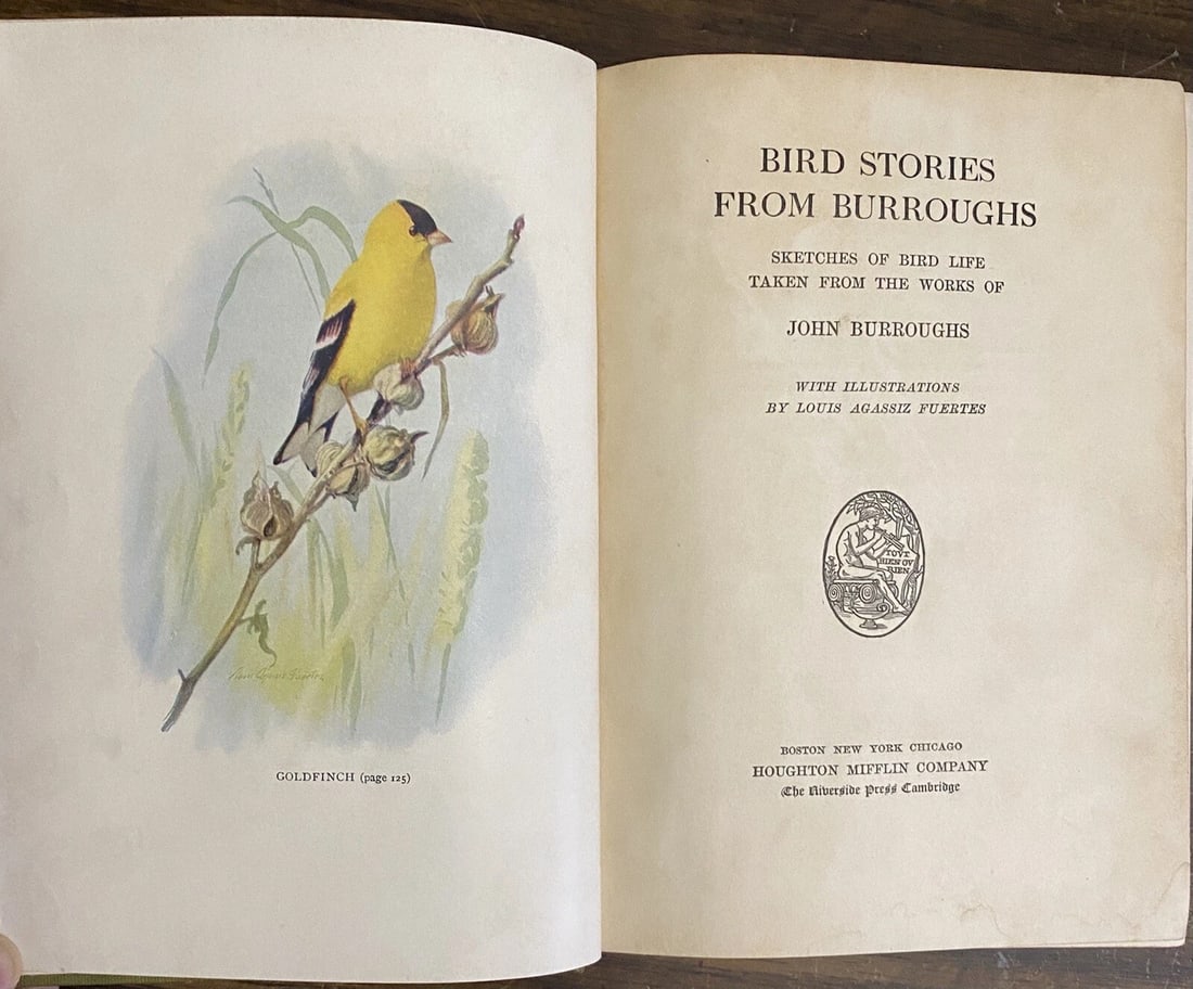 Bird Stories from Burroughs -John Burroughs 1909 HC Illustrated - 2
