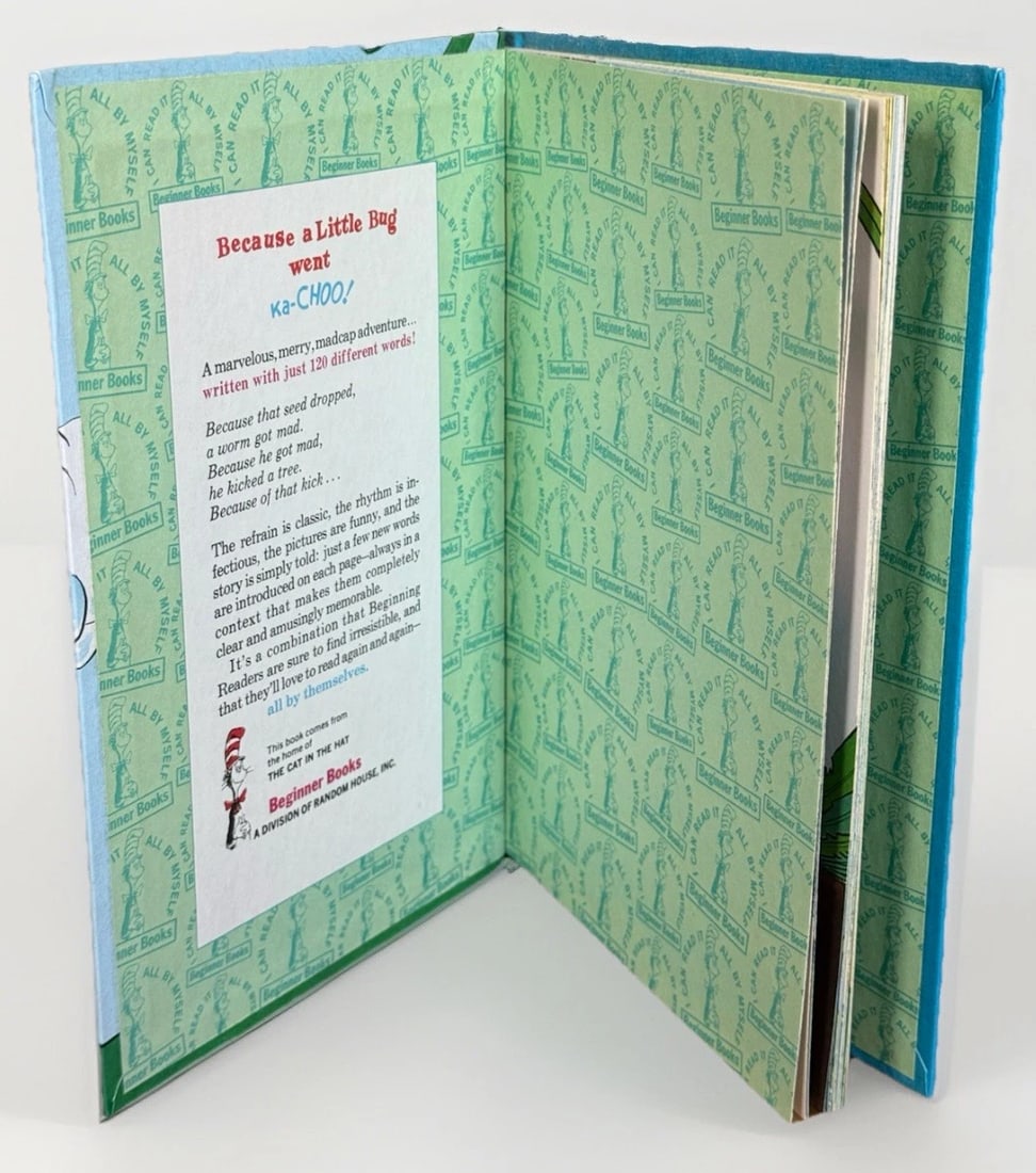 BECAUSE A LITTLE BUG WENT KA-CHOO! Rosetta Stone /Frith 1975 1st Ed Like New HC - 7