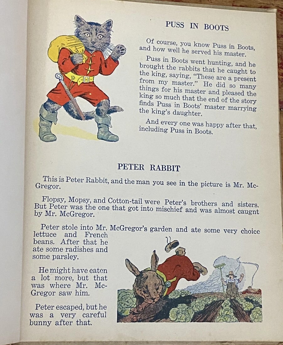 Folks From Animal Land Antique 1922 Western Publishing Co. #W263 IllustratedRARE - 11