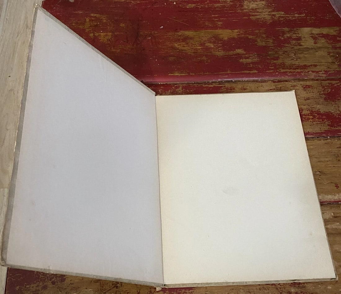 Folks From Animal Land Antique 1922 Western Publishing Co. #W263 IllustratedRARE - 12