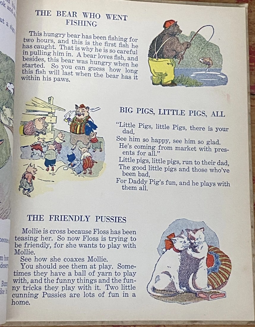 Folks From Animal Land Antique 1922 Western Publishing Co. #W263 IllustratedRARE - 9