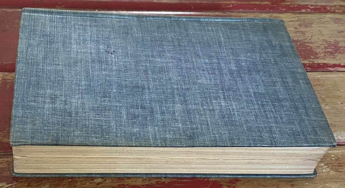 THE STRANGE CAREER of MR. HOOVER UNDER TWO FLAGS 1931 1st/9th HC IllustVery Good - 8