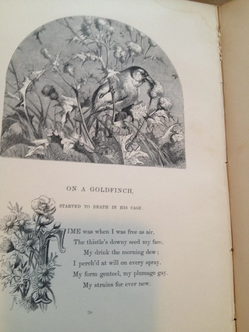 THE POETRY OF NATURE ILLUSTRATED Harrison Weir Antique London Sampson Low1861 HC - 5
