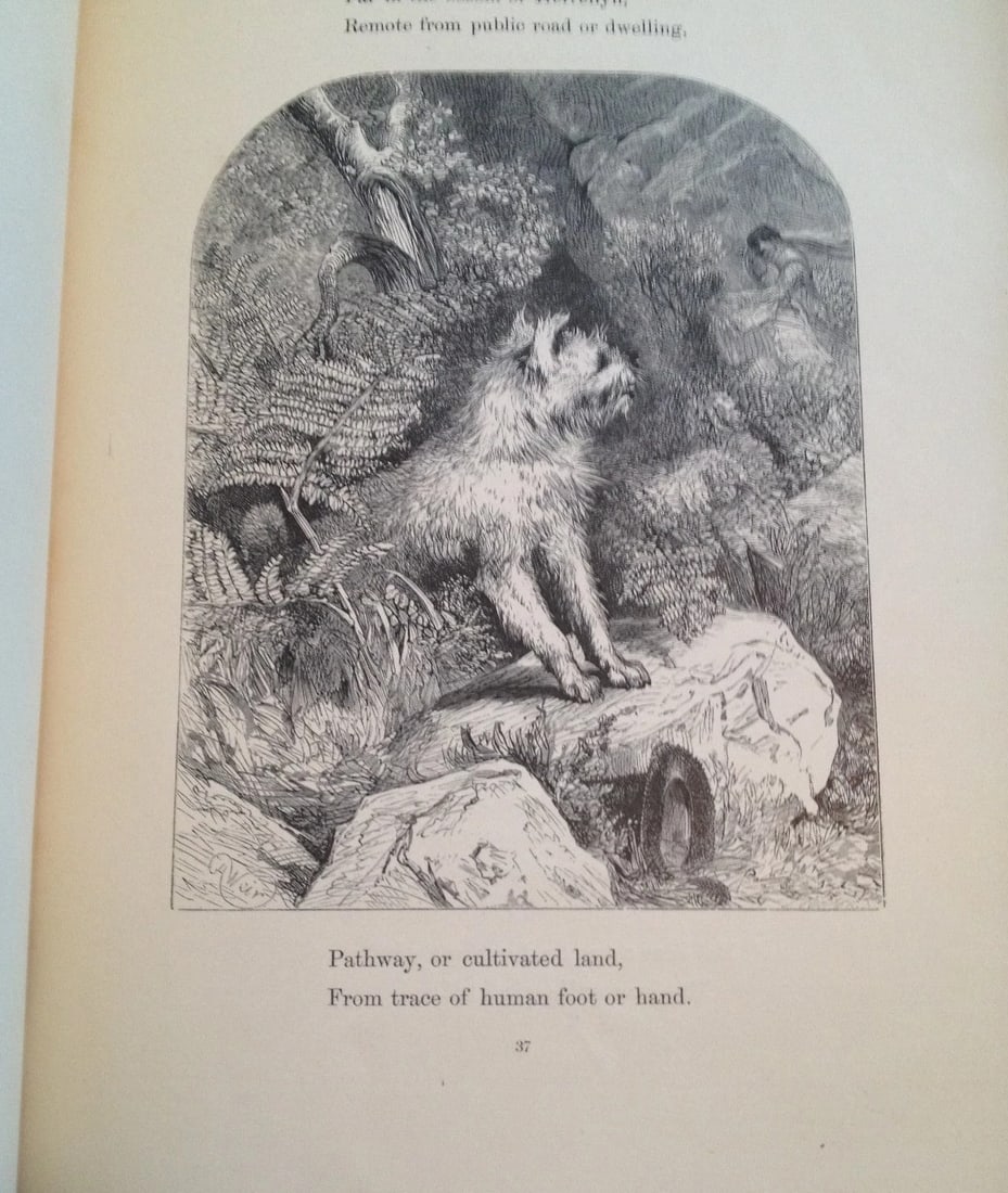 THE POETRY OF NATURE ILLUSTRATED Harrison Weir Antique London Sampson Low1861 HC - 8