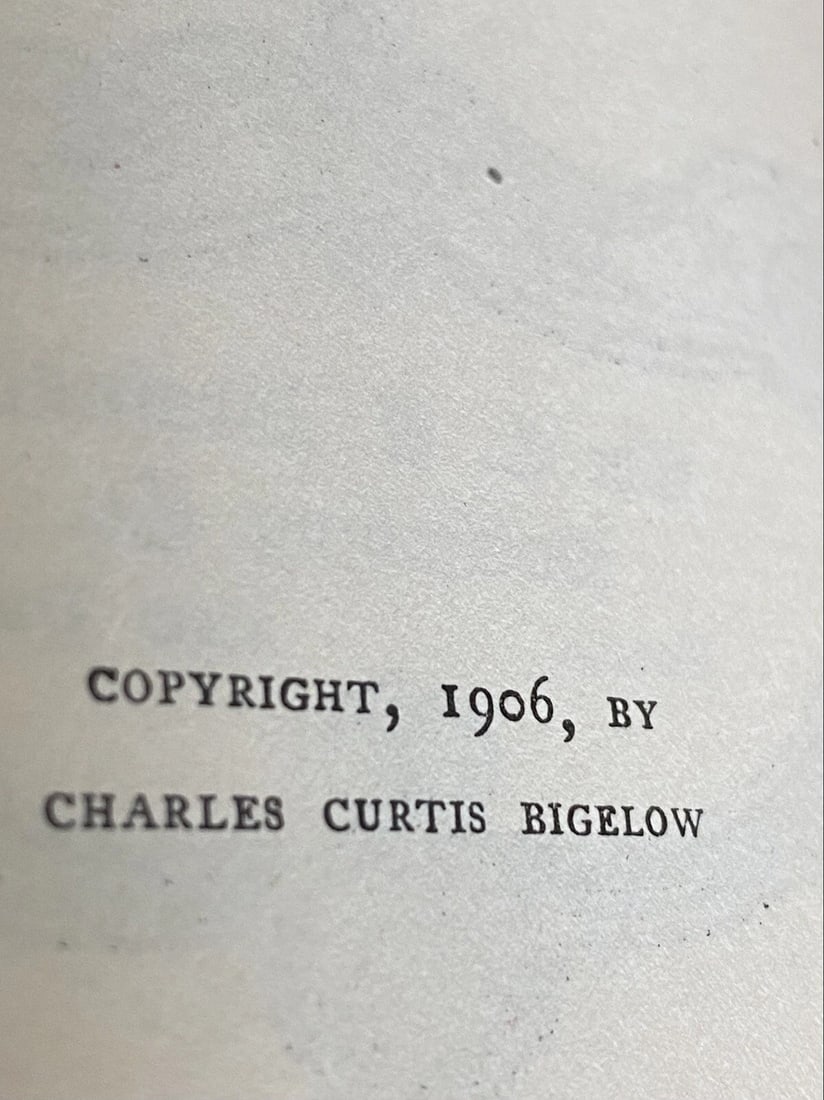 Robert L. Stevenson DeLuxe Ltd.Ed.New Arabian Nights,Dynamiter, 1906 CTBrainard - 4