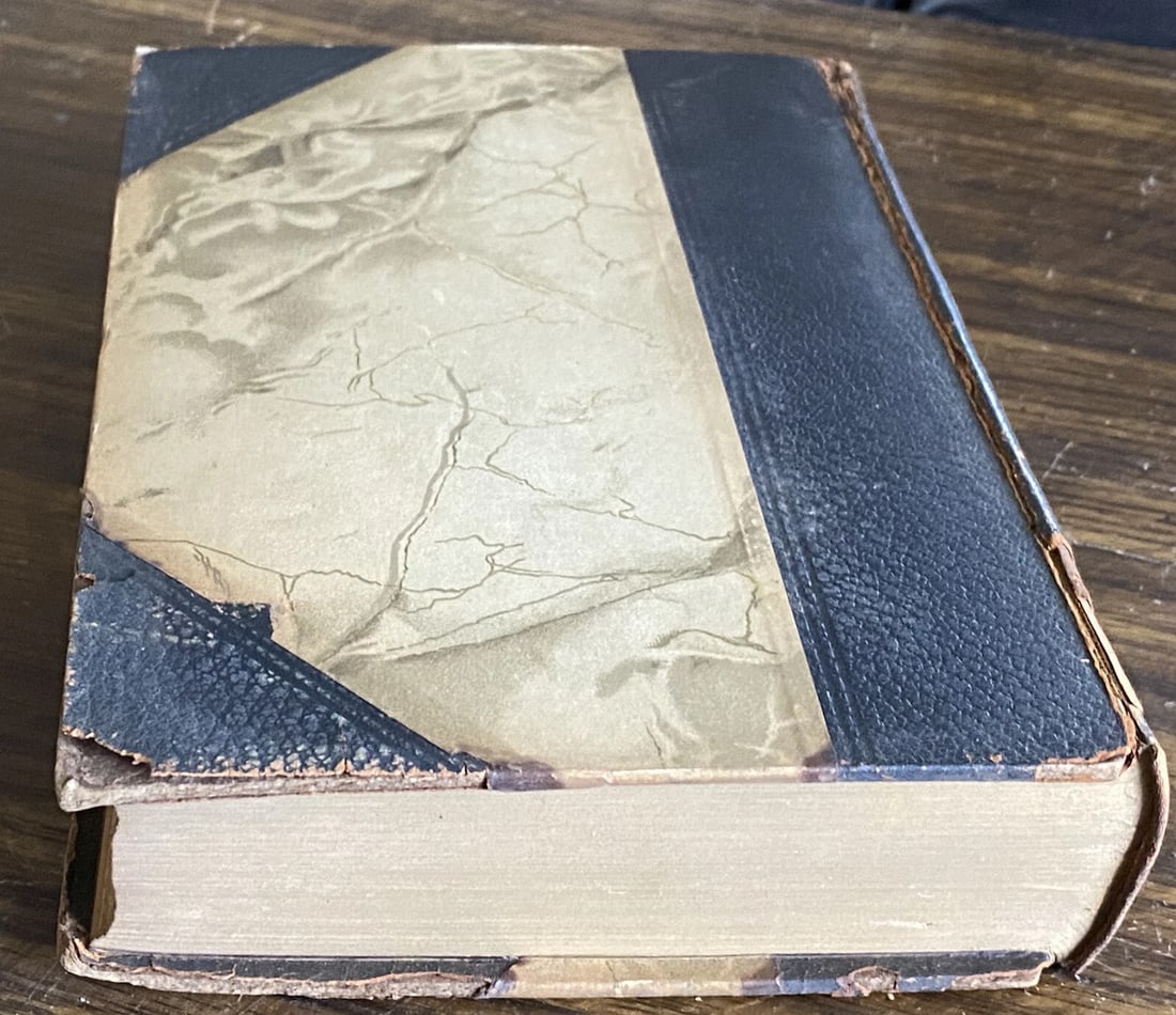 Robert L. Stevenson DeLuxe Ltd.Ed.New Arabian Nights,Dynamiter, 1906 CTBrainard - 7