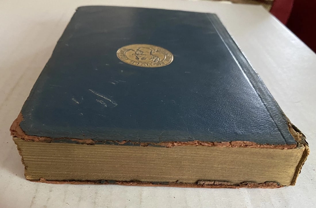 Antique Book The Elm Tree On The Mall Anatole France Blue Leather 1922 Dodd Mead - 8