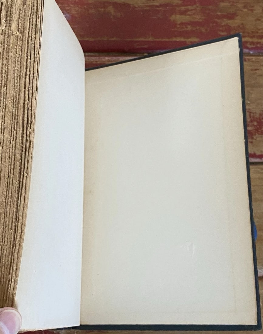 Mark Twain Literary Essays Author's National Edition Vol XXII, HC 1899 Illustrat - 14