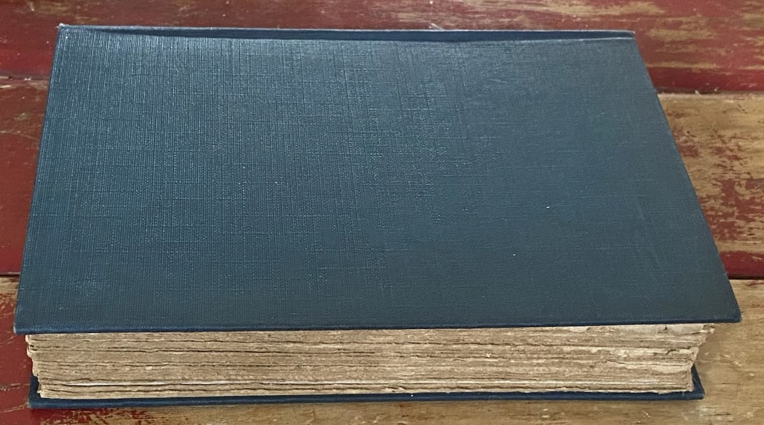 Mark Twain Literary Essays Author's National Edition Vol XXII, HC 1899 Illustrat - 7