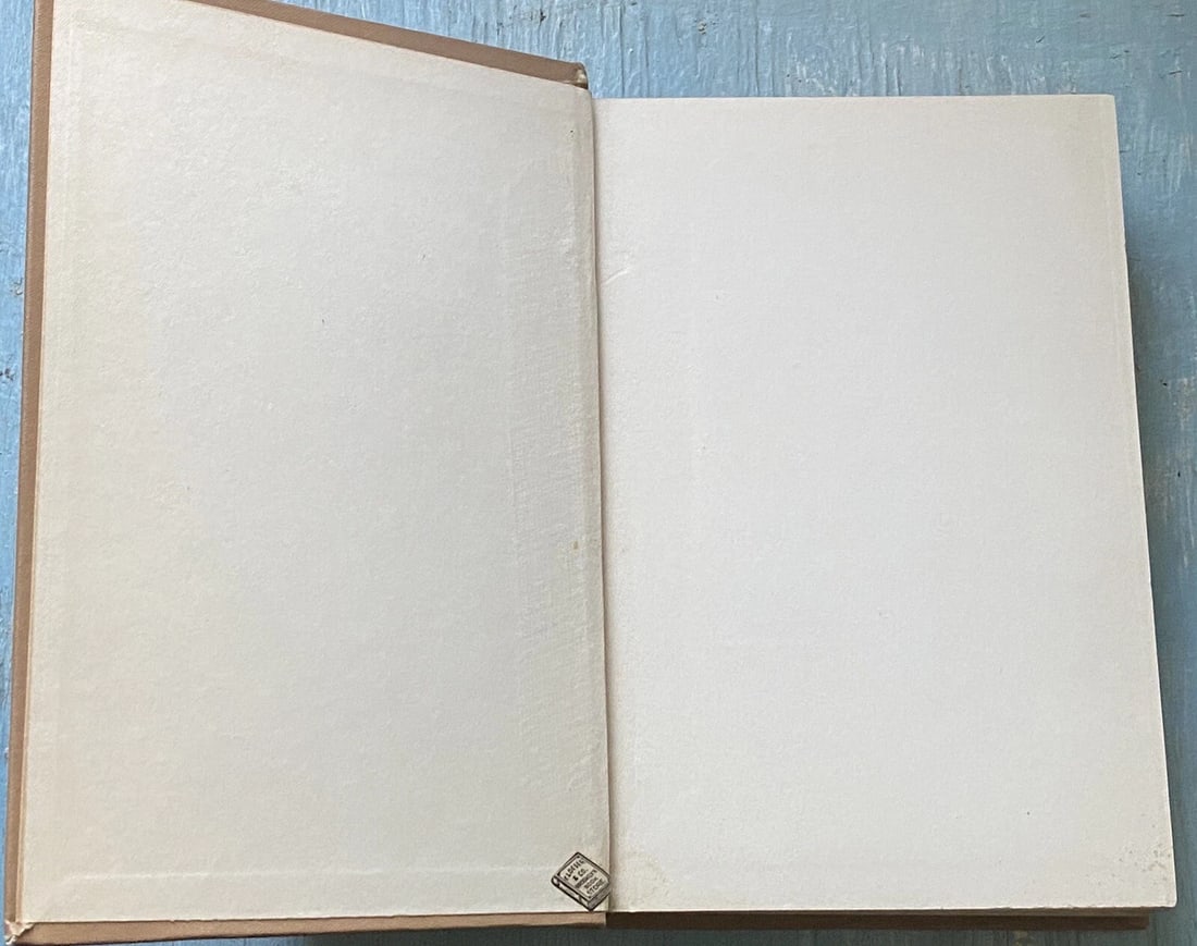 With Taylor On The Rio Grande Edward Stratemeyer 1909 Mexican War Series Illustr - 12