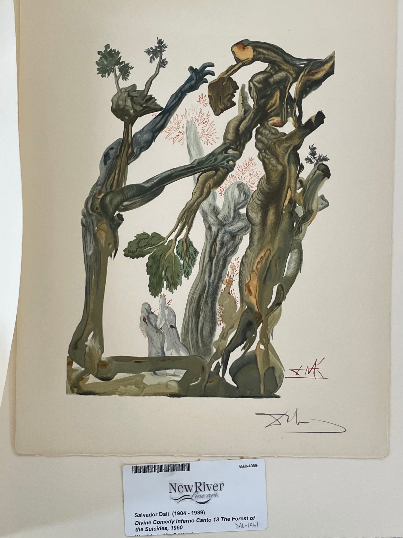 Salvador Dali: Divine Comedie inferno Canto 13-1 forest of the suicides - 2