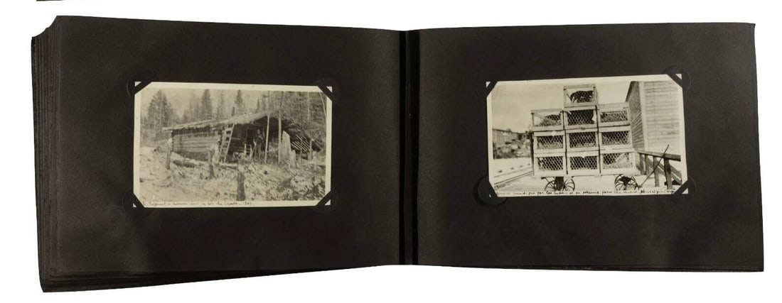 Album Early 1900s Historical Photographs Industrial & Landscape Antique Photo - 16