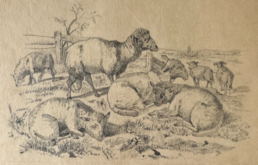 19th century Animals Sheeps Landscape Mountain Antique Drawing Original - 2