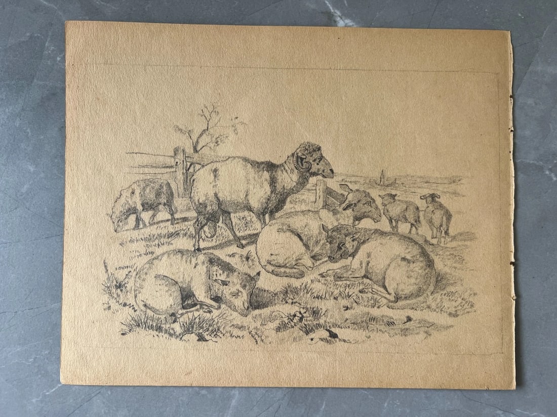 19th century Animals Sheeps Landscape Mountain Antique Drawing Original - 3