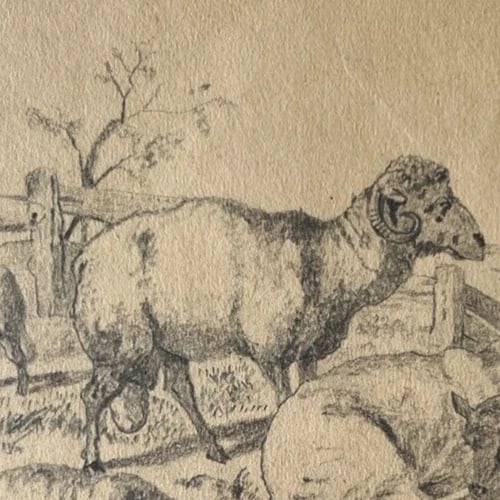 19th century Animals Sheeps Landscape Mountain Antique Drawing Original - 5