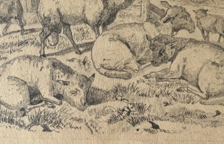 19th century Animals Sheeps Landscape Mountain Antique Drawing Original - 6