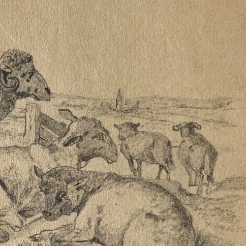 19th century Animals Sheeps Landscape Mountain Antique Drawing Original - 7