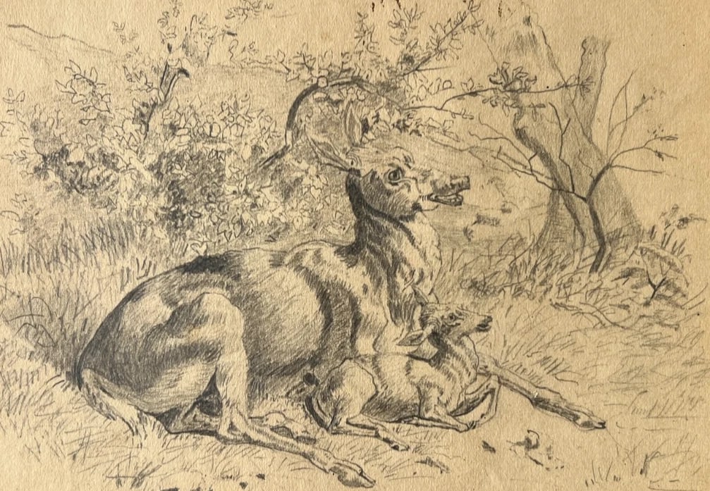 19th century Animals, Doe, Fawn, Landscape, Mountain Antique Drawing Original - 2