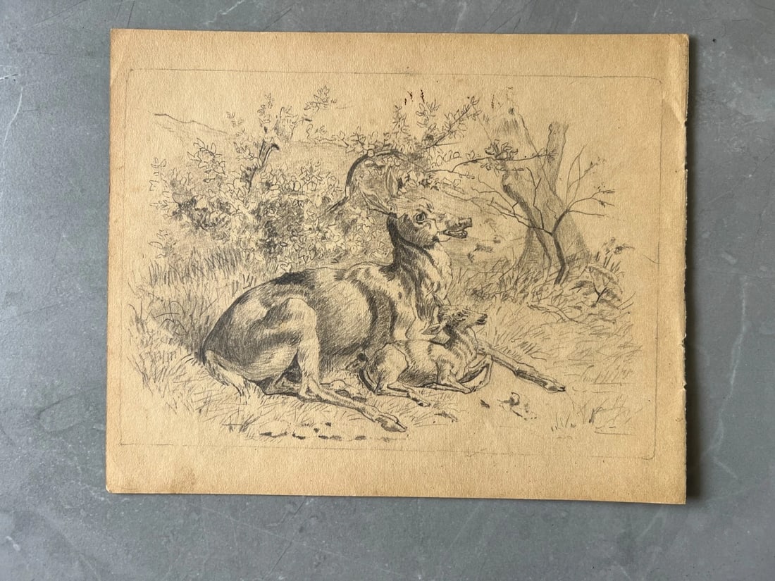 19th century Animals, Doe, Fawn, Landscape, Mountain Antique Drawing Original - 3