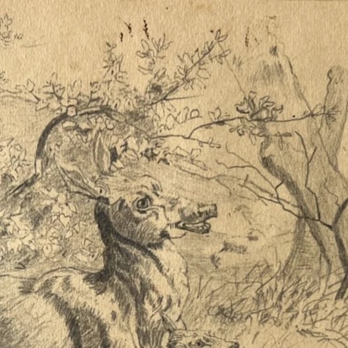 19th century Animals, Doe, Fawn, Landscape, Mountain Antique Drawing Original - 4
