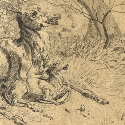 19th century Animals, Doe, Fawn, Landscape, Mountain Antique Drawing Original - 5