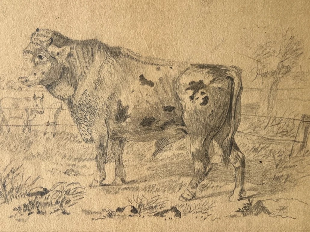 Antique Drawing Original Animals, Bull, Landscape, Fields 19th century - 2