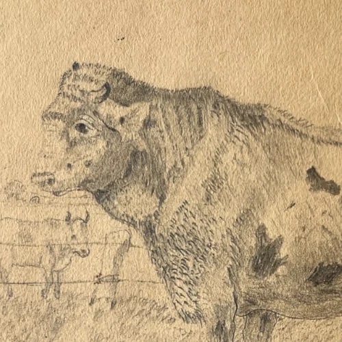 Antique Drawing Original Animals, Bull, Landscape, Fields 19th century - 4