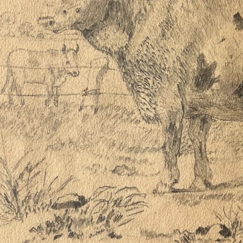 Antique Drawing Original Animals, Bull, Landscape, Fields 19th century - 5