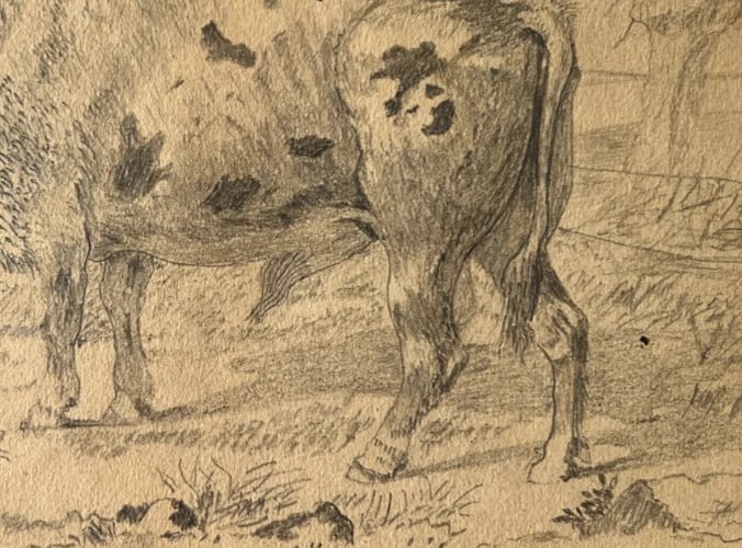 Antique Drawing Original Animals, Bull, Landscape, Fields 19th century - 7