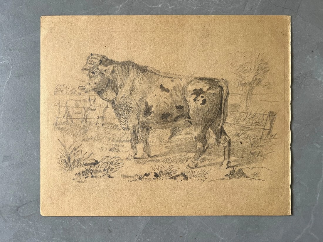 Antique Drawing Original Animals, Bull, Landscape, Fields 19th century - 8