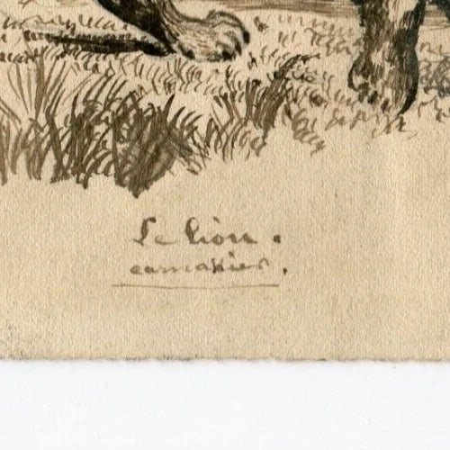 Antique Original Drawing J. DE CAURMONT (XIX-XX) Lion, Animal - 8