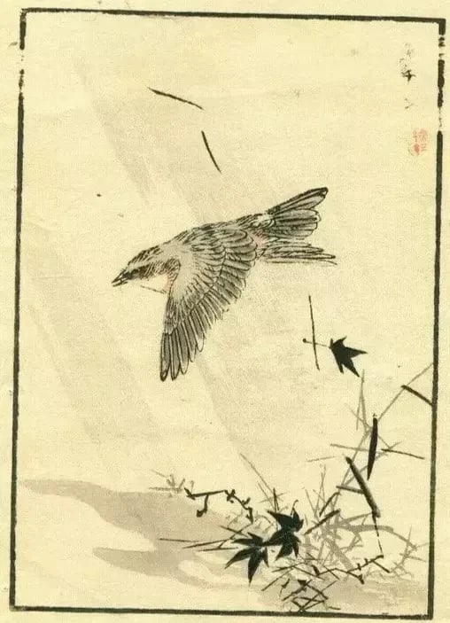 Antique Japanese WoodPrint Original Flowers, Bird c 1890 Ukiyo-e Asian Art Print - 10
