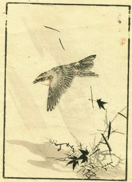 Antique Japanese WoodPrint Original Flowers, Bird c 1890 Ukiyo-e Asian Art Print: Title: Antique Japanese WoodPrint Original Flowers, Bird c 1890 Ukiyo-e Asian Art Print Description: 25 x 16.5 cm stains, folds Reserve: $40.00 Shipping: Domestic: Flat-rate of $19.00 to any