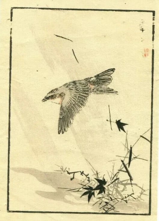 Antique Japanese WoodPrint Original Flowers, Bird c 1890 Ukiyo-e Asian Art Print - 3