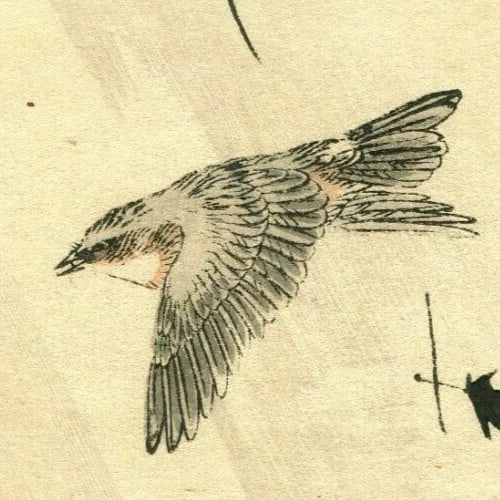 Antique Japanese WoodPrint Original Flowers, Bird c 1890 Ukiyo-e Asian Art Print - 4