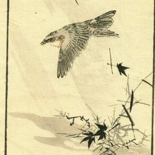 Antique Japanese WoodPrint Original Flowers, Bird c 1890 Ukiyo-e Asian Art Print - 5