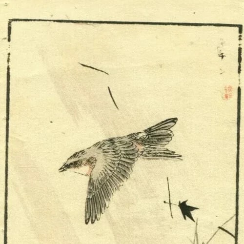 Antique Japanese WoodPrint Original Flowers, Bird c 1890 Ukiyo-e Asian Art Print - 6