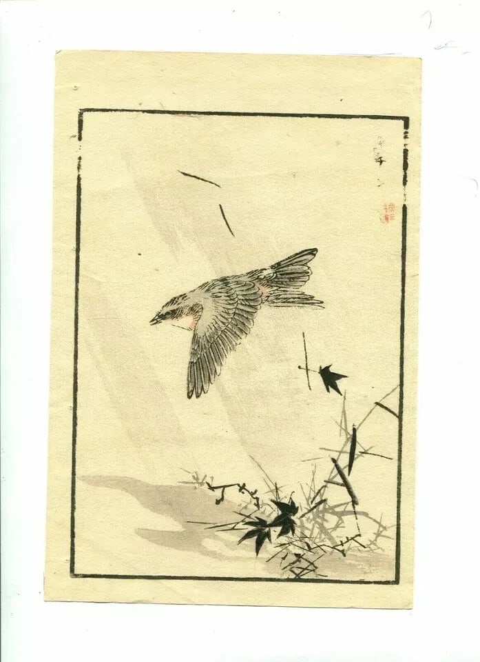 Antique Japanese WoodPrint Original Flowers, Bird c 1890 Ukiyo-e Asian Art Print - 7